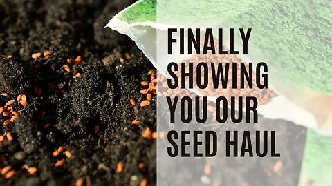 Finally Showing You Our Seed Haul | Seed Haul 2023