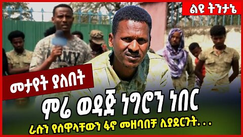 ምሬ ወዳጅ ነግሮን ነበር ራሱን የሰዋላቸውን ፋኖ መዘባበቻ ሊያደርጉት. . . Mire Wodajo | Fano | Amhara | Ethiopia