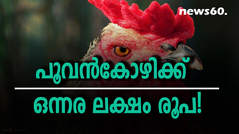 പൂവന്‍കോഴിക്ക് ഒന്നര ലക്ഷം രൂപ!