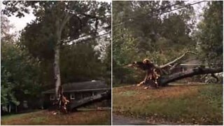 Träd totalförstör hus i North Carolina