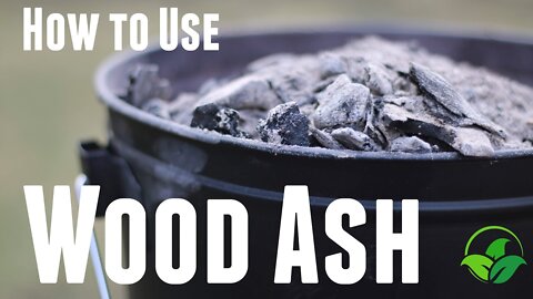 How to Use Wood Ash In The Garden - Wood Ash Fertilizer