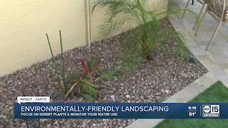 Impact Earth: Conserving water in your landscaping