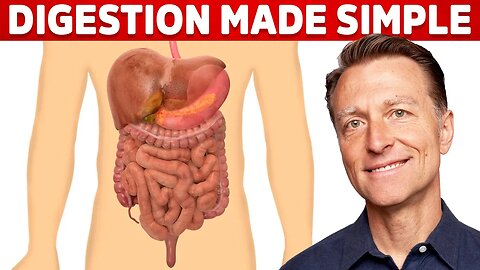 Your Digestive System Explained (in Simple Terms)