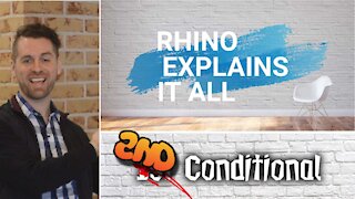 2nd Conditional - Rhino Explains it All