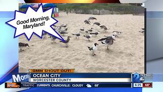 Good morning from Ocean City!