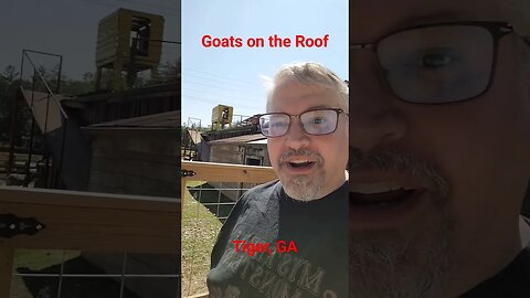 Goats on the Roof! The goats are aliens? #eerietravels #goats #roadsideattraction #aliens #georgia
