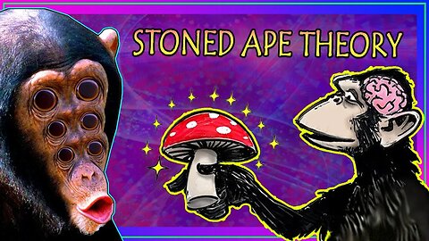 How Mushrooms Shaped Humanity – The Psychedelic Evolution of Consciousness