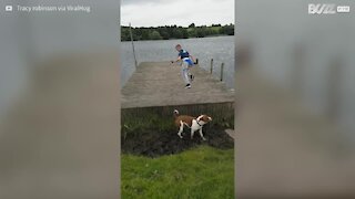 Cane cerca di saltare il pontile, ma batte la testa