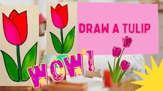 Draw Tulip | How to draw a Tulip | Easy Drawing