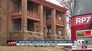 At least four people escape Linwood apartment fire