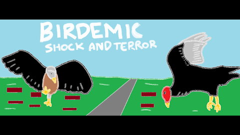 Birdemic: Shock and Terror