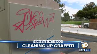 Countywide effort needed to fight graffiti