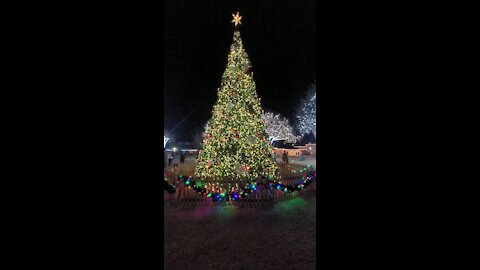 30' Christmas Tree