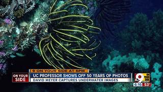 50 years of underwater magic