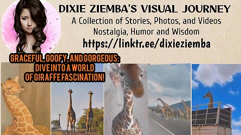 Graceful, Goofy, and Gorgeous: Dive into a World of Giraffe Fascination!