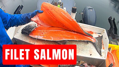 How to Filet Salmon