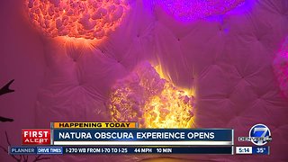Natura Obscura experience opens