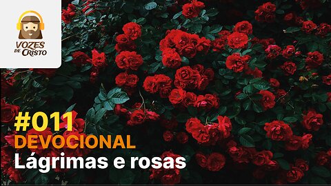 #011 - Devocional: Lágrimas e rosas