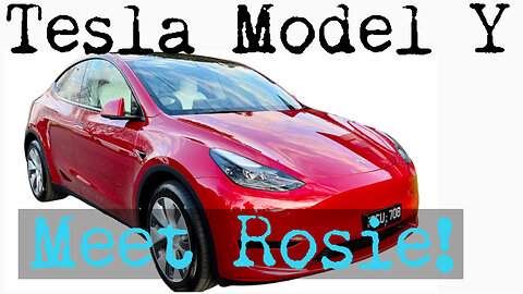 Tesla Model Y-Meet Rosie!