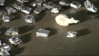 Sarasota Co. deputies change heroin handling policy