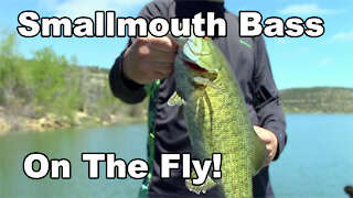 Smallmouth On The FLY - Fly fishing for smallmouth bass - McFly Angler Episode 18