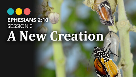 Ephesians 2:10: Session 3: A New Creation @ Riverside Bible Camp