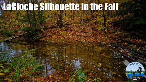 LaCloche Silhouette Trail in the Fall