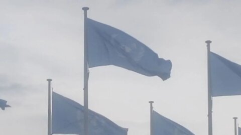 #exposethe28 UN Flags Fly In Canberra.