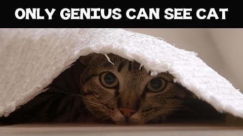 Genius CAT