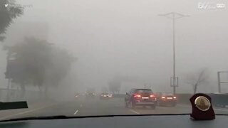 Tempête de froid à New Delhi, en Inde