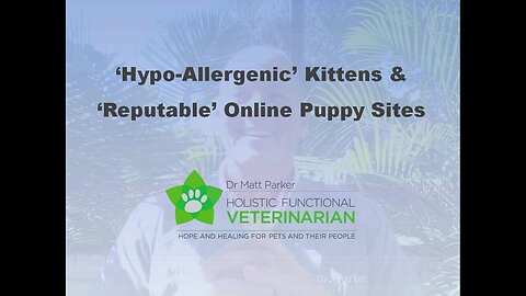 Hypo-Allergenic Kittens & Cats? Reputable Online Puppy Sites?