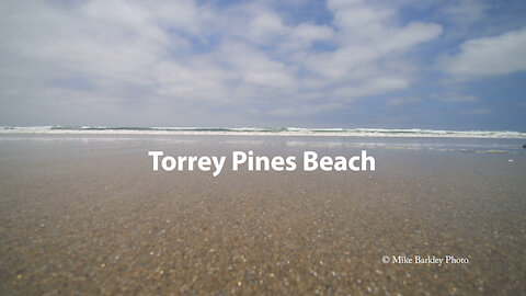 Torrey Pines Beach