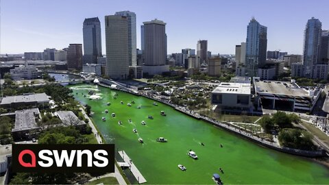 Florida city celebrates St Patrick’s Day by dying their river green