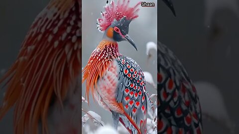 The Melodious voice of the world's best bird | The best bird sounds ever | Singing birds #birds