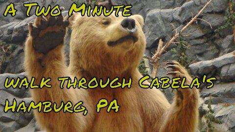 Two Minute walk through Cabela's Hamburg, PA