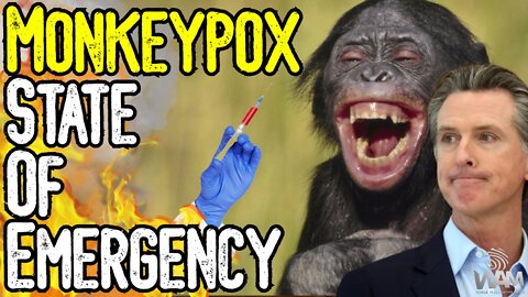 MONKEYPOX STATE OF EMERGENCY? - Globalist Governors Follow Suit! - Blindly BOW To NWO AGENDA