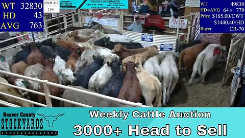 1/17/2023 - Beaver County Stockyards Livestock Auction