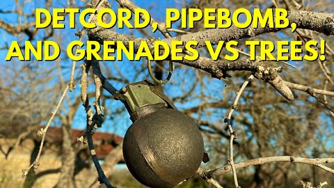 Detcord, Pipebombs, and Grenades VS TREES! (Part 1) #topshotreeservice