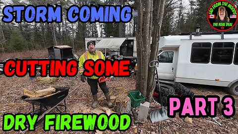 03-20-24 | Storm Coming Cutting Some DRY Firewood Pt.3