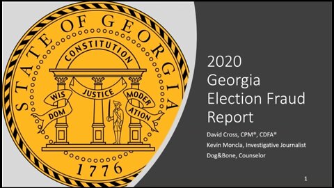 VoterGA Uncovers Massive Election Fraud in Georgia.