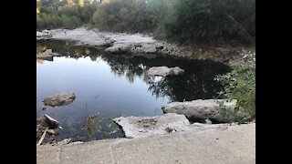 Bass Fishing Raymond Russell Park