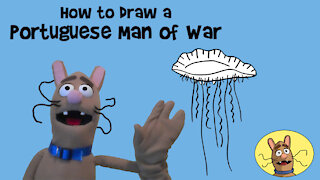 How to Draw a Portuguese Man of War