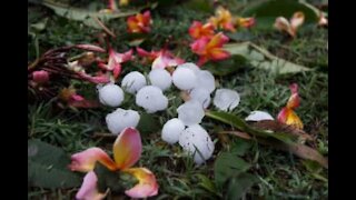 Terrível tempestade de granizo assusta habitantes