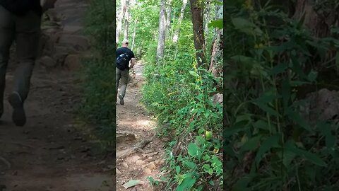 Hiking on Appalachian Trail in North Georgia!