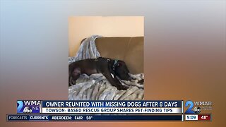 Owner reunited with dogs lost following car accident on I-270