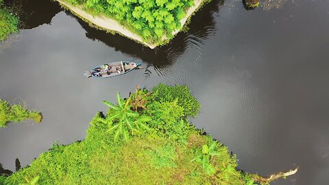 Nature's Tapestry: A Harmony of Beaches, Forests, Islands, and Lakes