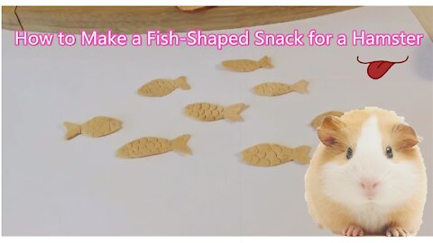 Make delicious hamster snacks