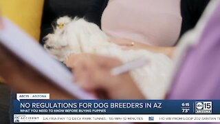 No regulations for dog breeders in AZ