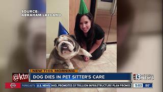 Dog dies in pet sitter's care