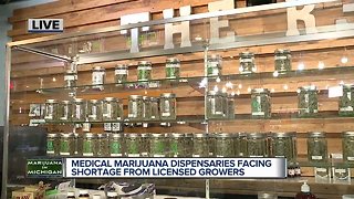 Is Michigan facing a marijuana shortage?